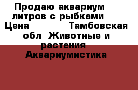 Продаю аквариум 100 литров,с рыбками... › Цена ­ 4 000 - Тамбовская обл. Животные и растения » Аквариумистика   